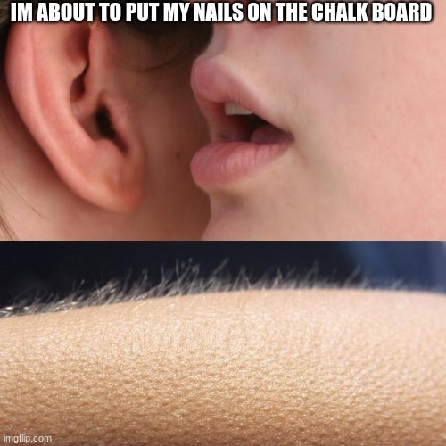 Whisper and Goosebumps | IM ABOUT TO PUT MY NAILS ON THE CHALK BOARD | image tagged in whisper and goosebumps | made w/ Imgflip meme maker