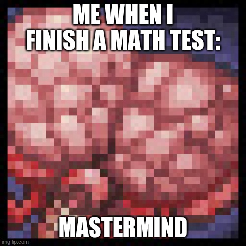 Terraria | ME WHEN I FINISH A MATH TEST:; MASTERMIND | image tagged in terraria,school | made w/ Imgflip meme maker