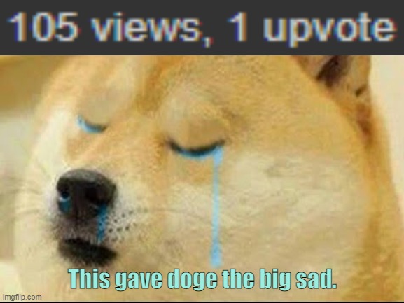 Such cri. Much sad. | This gave doge the big sad. | image tagged in doge,is super sad,he has the big sad now,please help him,i am also sad,help us please | made w/ Imgflip meme maker