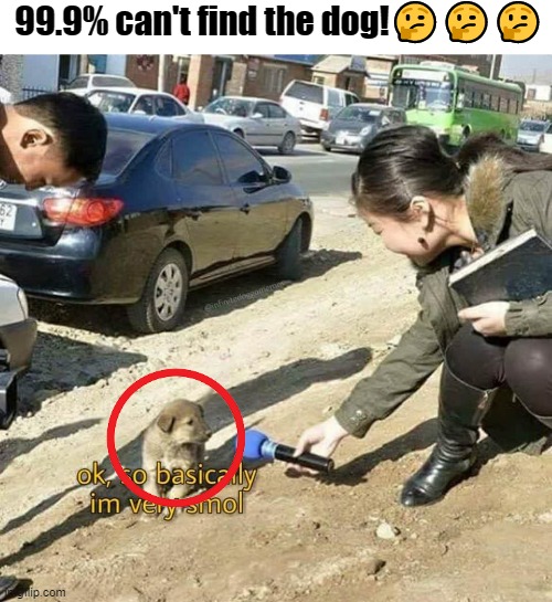 Mobile adds be like | 99.9% can't find the dog!🤔🤔🤔 | image tagged in i'm very smoll | made w/ Imgflip meme maker
