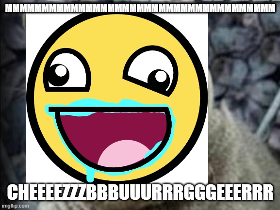 MMMMMMMMMMMMMMMMMMMMMMMMMMMMMMMMMMMMMMMMMMMMMMMMMMMMMMMMMMMMMMMMMMMMMMMMMMMMM | MMMMMMMMMMMMMMMMMMMMMMMMMMMMMMMMMMMMM; CHEEEEZZZBBBUUURRRGGGEEERRR | image tagged in grumpy cat,lolcats,i can has cheezburger cat | made w/ Imgflip meme maker