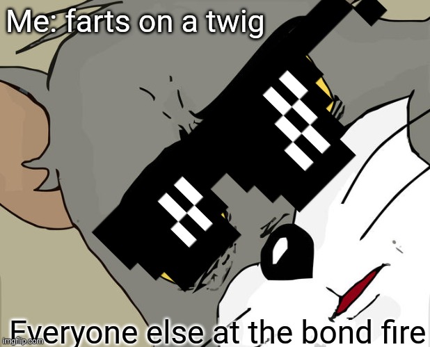 Just because | Me: farts on a twig; Everyone else at the bond fire | image tagged in gifs,unsettled tom | made w/ Imgflip meme maker