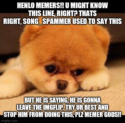 #DontGoSong_Spammer | HENLO MEMERS!! U MIGHT KNOW THIS LINE, RIGHT? THATS RIGHT, SONG_SPAMMER USED TO SAY THIS; BUT HE IS SAYING, HE IS GONNA LEAVE THE IMGFLIP. TRY UR BEST AND STOP HIM FROM DOING THIS, PLZ MEMER GODS!! | image tagged in sad dog | made w/ Imgflip meme maker