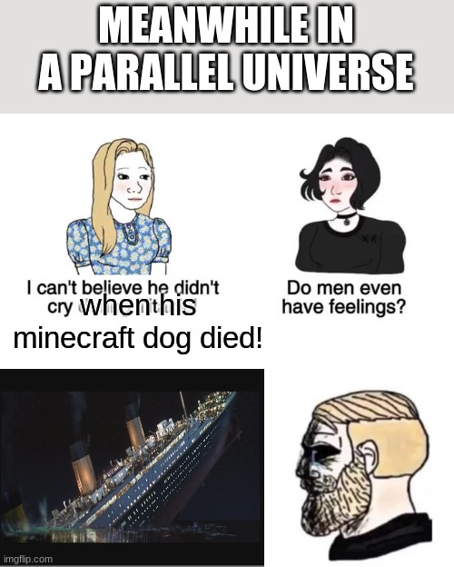 In a parallel universe, men actually cry while watching titanic. | MEANWHILE IN A PARALLEL UNIVERSE; when his minecraft dog died! | image tagged in do men have feelings,titanic,minecraft | made w/ Imgflip meme maker