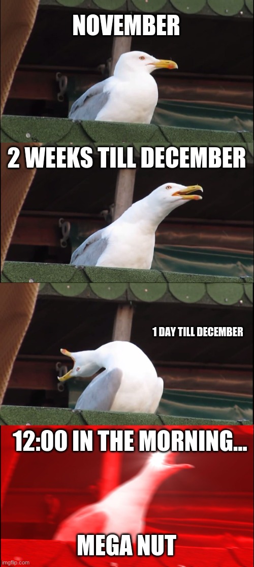 No Nut November | NOVEMBER; 2 WEEKS TILL DECEMBER; 1 DAY TILL DECEMBER; 12:00 IN THE MORNING... MEGA NUT | image tagged in memes,inhaling seagull | made w/ Imgflip meme maker