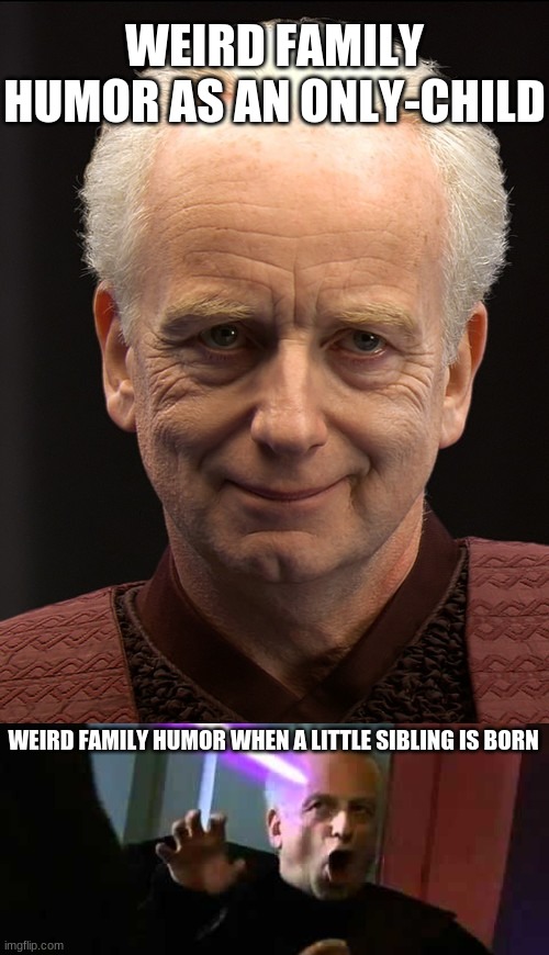 Sometimes I wonder if I'm even related |  WEIRD FAMILY HUMOR AS AN ONLY-CHILD; WEIRD FAMILY HUMOR WHEN A LITTLE SIBLING IS BORN | image tagged in no nooo- no,star wars prequels,star wars memes,family life,stupid humor,siblings | made w/ Imgflip meme maker