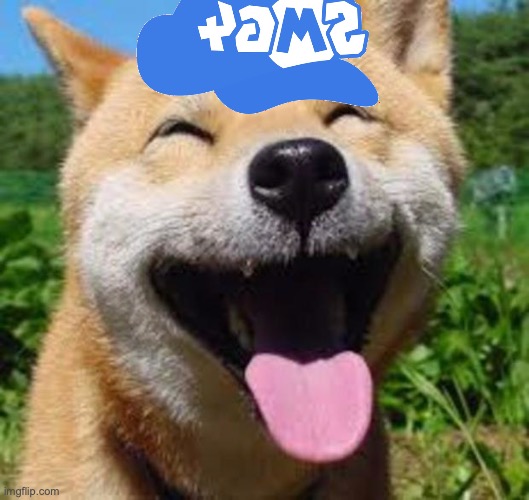 Happy Doge | image tagged in happy doge | made w/ Imgflip meme maker