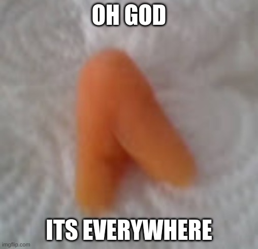 High Quality amogus carrot Blank Meme Template