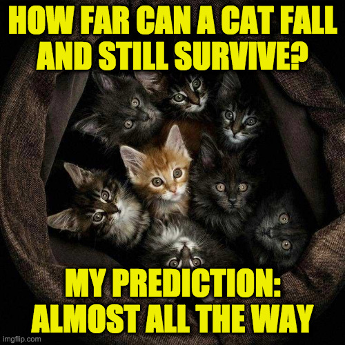 First I want to thank all my courageous volunteers. | HOW FAR CAN A CAT FALL
AND STILL SURVIVE? MY PREDICTION:
ALMOST ALL THE WAY | image tagged in memes,cats,science,volunteers | made w/ Imgflip meme maker
