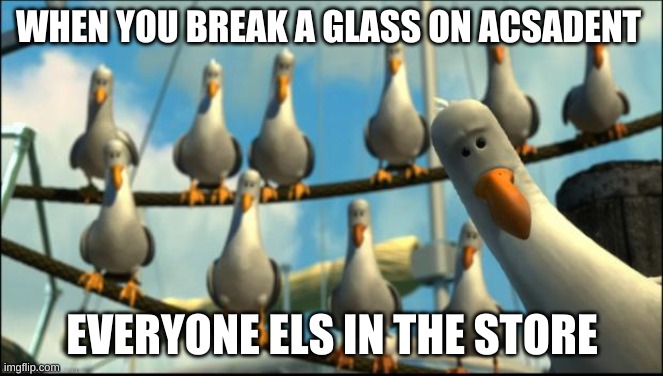 Nemo Seagulls Mine | WHEN YOU BREAK A GLASS ON ACSADENT; EVERYONE ELS IN THE STORE | image tagged in nemo seagulls mine | made w/ Imgflip meme maker