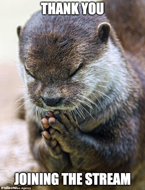 thank you | THANK YOU; JOINING THE STREAM | image tagged in thank you lord otter,memes | made w/ Imgflip meme maker