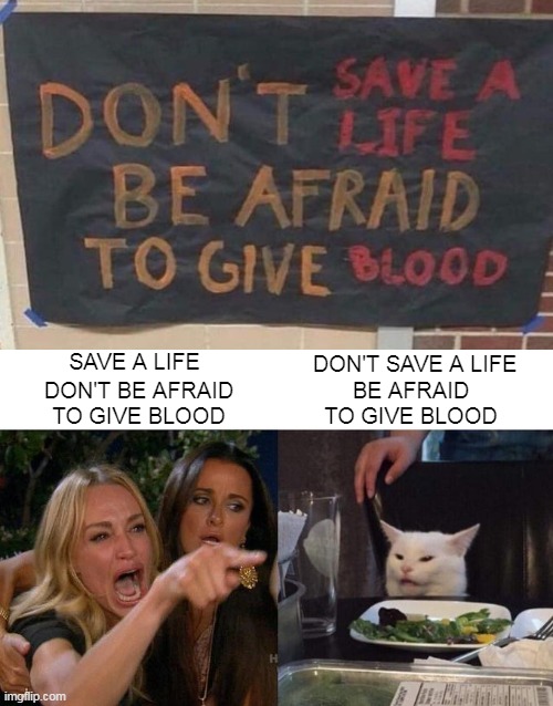 DON'T SAVE A LIFE; DON'T BE AFRAID TO GIVE BLOOD; SAVE A LIFE; BE AFRAID TO GIVE BLOOD | image tagged in memes,woman yelling at cat | made w/ Imgflip meme maker