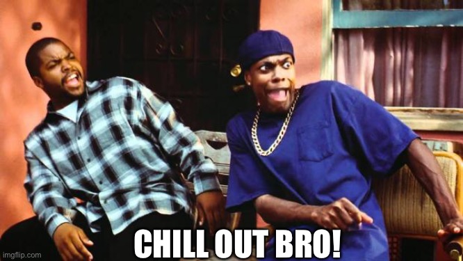 Ice Cube Damn | CHILL OUT BRO! | image tagged in ice cube damn | made w/ Imgflip meme maker