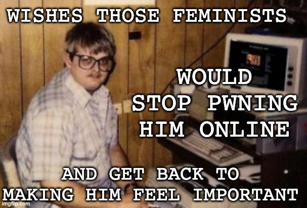 mom's  basement guy | WISHES THOSE FEMINISTS WOULD STOP PWNING HIM ONLINE AND GET BACK TO MAKING HIM FEEL IMPORTANT | image tagged in mom's basement guy | made w/ Imgflip meme maker