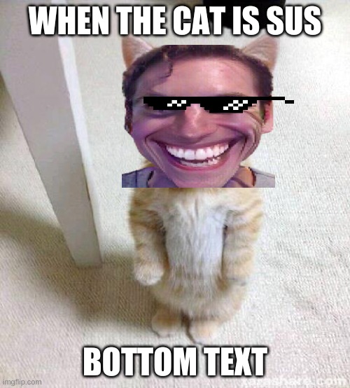 Cute Cat Meme | WHEN THE CAT IS SUS; BOTTOM TEXT | image tagged in memes,cute cat | made w/ Imgflip meme maker