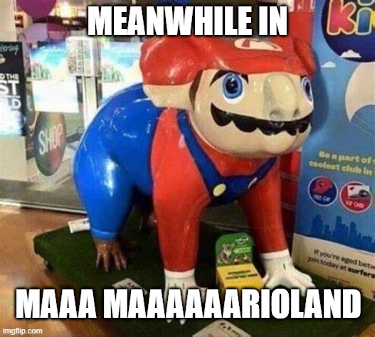 Meanwhile in marioland | MEANWHILE IN; MAAA MAAAAAARIOLAND | image tagged in funny | made w/ Imgflip meme maker