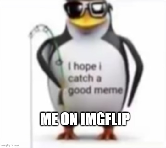 I hope I catch a good meme | ME ON IMGFLIP | image tagged in i hope i catch a good meme | made w/ Imgflip meme maker