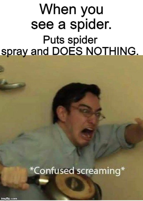 Bug life .-. | When you see a spider. Puts spider spray and DOES NOTHING. | image tagged in confused screaming | made w/ Imgflip meme maker