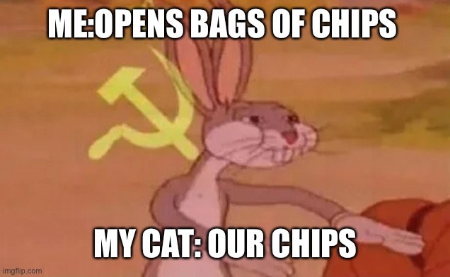 Bugs bunny communist | ME:OPENS BAGS OF CHIPS; MY CAT: OUR CHIPS | image tagged in bugs bunny communist | made w/ Imgflip meme maker
