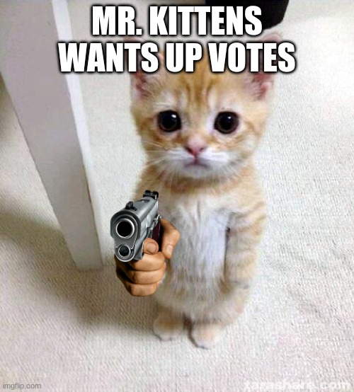 Cute Cat Meme | MR. KITTENS WANTS UP VOTES | image tagged in memes,cute cat | made w/ Imgflip meme maker