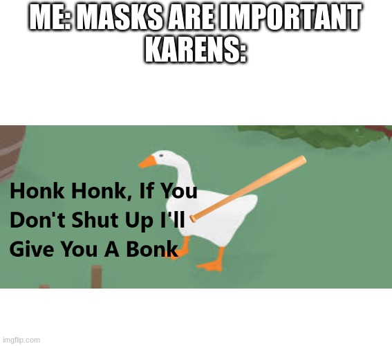 Honk Honk, If You Don't Shut Up I'll Give You A Bonk | ME: MASKS ARE IMPORTANT
KARENS: | image tagged in honk honk if you don't shut up i'll give you a bonk | made w/ Imgflip meme maker