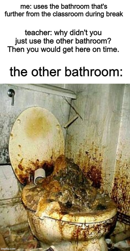 the bathrooms at school be like | me: uses the bathroom that's further from the classroom during break; teacher: why didn't you just use the other bathroom? Then you would get here on time. the other bathroom: | image tagged in public bathroom,school | made w/ Imgflip meme maker