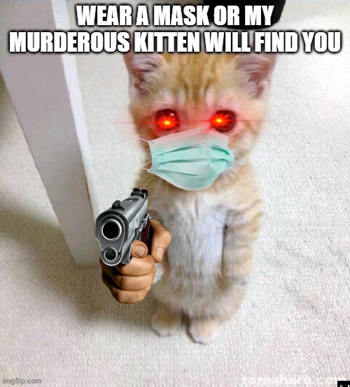 Cute Cat Meme | WEAR A MASK OR MY MURDEROUS KITTEN WILL FIND YOU | image tagged in memes,cute cat | made w/ Imgflip meme maker
