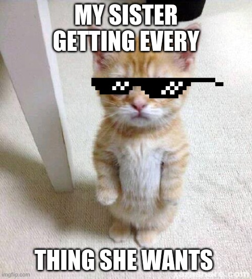 my sister | MY SISTER GETTING EVERY; THING SHE WANTS | image tagged in memes,cute cat | made w/ Imgflip meme maker