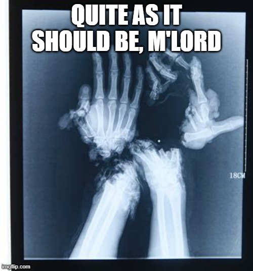 quite as it should be, mlord | QUITE AS IT SHOULD BE, M'LORD | image tagged in bones,m'lord,quite as it should be,politics | made w/ Imgflip meme maker