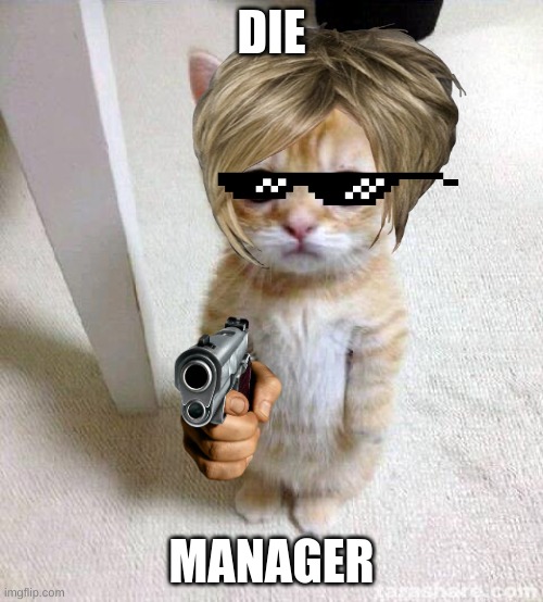 Cute Cat | DIE; MANAGER | image tagged in memes,cute cat | made w/ Imgflip meme maker