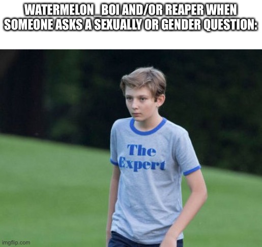 The Expert | WATERMELON_BOI AND/OR REAPER WHEN SOMEONE ASKS A SEXUALLY OR GENDER QUESTION: | image tagged in the expert | made w/ Imgflip meme maker
