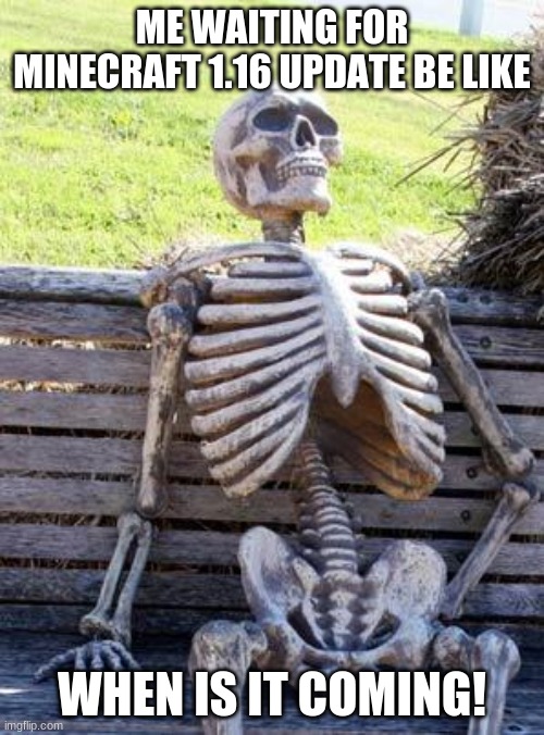 Waiting Skeleton Meme | ME WAITING FOR MINECRAFT 1.16 UPDATE BE LIKE; WHEN IS IT COMING! | image tagged in memes,waiting skeleton | made w/ Imgflip meme maker