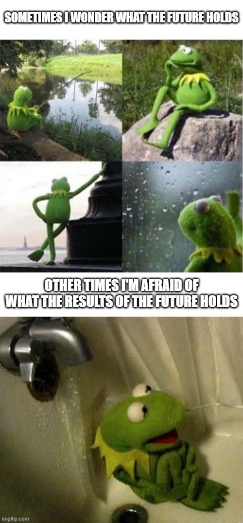 No idea what to title this one. |  SOMETIMES I WONDER WHAT THE FUTURE HOLDS; OTHER TIMES I'M AFRAID OF WHAT THE RESULTS OF THE FUTURE HOLDS | image tagged in blank kermit waiting,kermit on shower | made w/ Imgflip meme maker