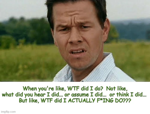 WTF Did I Do? | When you're like, WTF did I do?  Not like, what did you hear I did... or assume I did...  or think I did... 
But like, WTF did I ACTUALLY F*ING DO??? | image tagged in whatdidido,wtfdidido,confused | made w/ Imgflip meme maker