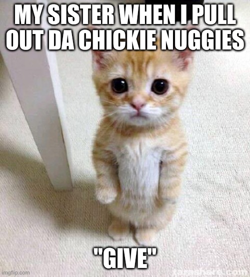 #chickienuggies | MY SISTER WHEN I PULL OUT DA CHICKIE NUGGIES; "GIVE" | image tagged in memes,cute cat | made w/ Imgflip meme maker