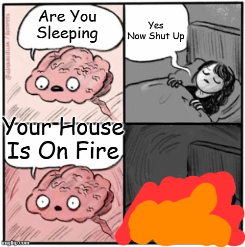 Brain Before Sleep | Yes Now Shut Up; Are You Sleeping; Your House Is On Fire | image tagged in brain before sleep | made w/ Imgflip meme maker