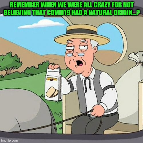 Pepperidge Farm Remembers | REMEMBER WHEN WE WERE ALL CRAZY FOR NOT BELIEVING THAT COVID19 HAD A NATURAL ORIGIN...? | image tagged in memes,pepperidge farm remembers | made w/ Imgflip meme maker