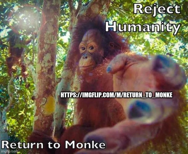 Join monke stream  https://imgflip.com/m/Return_to_Monke | HTTPS://IMGFLIP.COM/M/RETURN_TO_MONKE | image tagged in return to monke | made w/ Imgflip meme maker