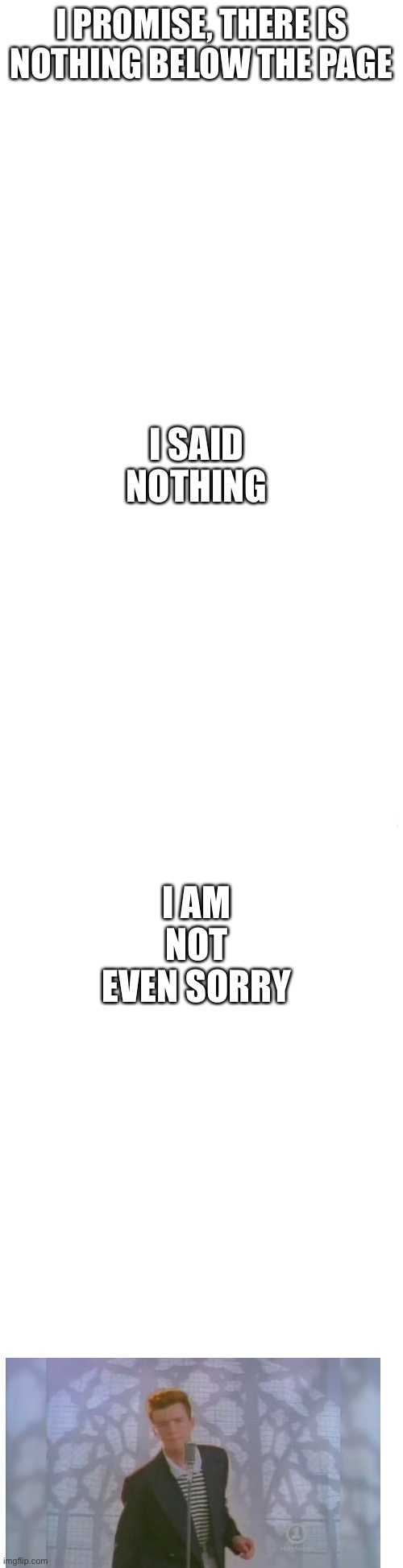E |  I PROMISE, THERE IS NOTHING BELOW THE PAGE; I SAID NOTHING; I AM NOT EVEN SORRY | image tagged in long blank white | made w/ Imgflip meme maker