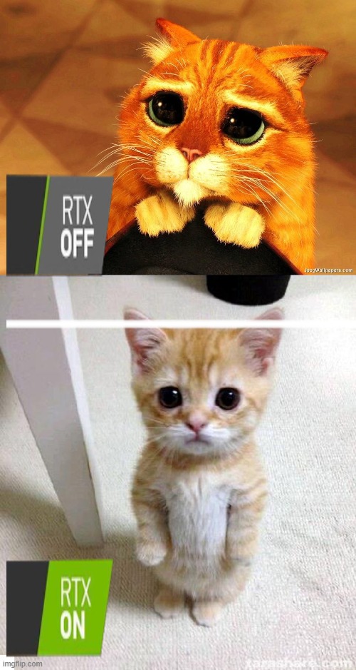 RTX of and on cat | image tagged in pussinboots,memes,cute cat,rtx on and off,rtx,cat | made w/ Imgflip meme maker