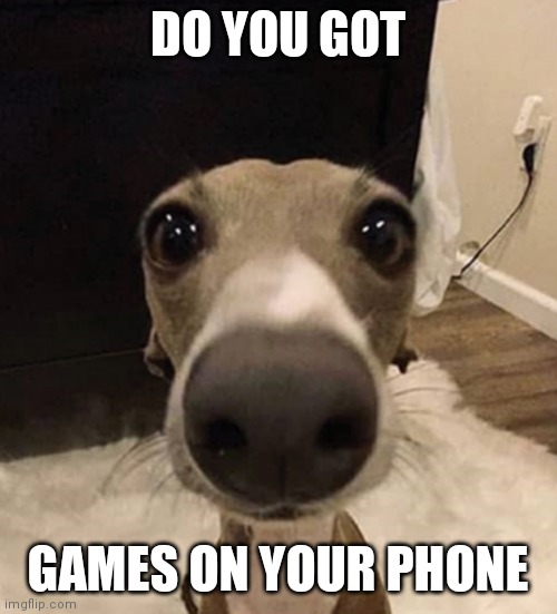 :) | DO YOU GOT; GAMES ON YOUR PHONE | image tagged in doggo | made w/ Imgflip meme maker
