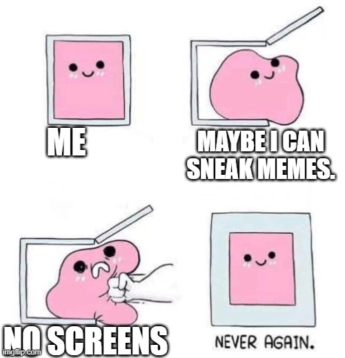 NO | ME; MAYBE I CAN SNEAK MEMES. NO SCREENS | image tagged in never again | made w/ Imgflip meme maker