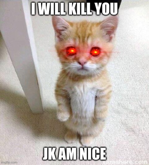 Cute Cat | I WILL KILL YOU; JK AM NICE | image tagged in memes,cute cat | made w/ Imgflip meme maker