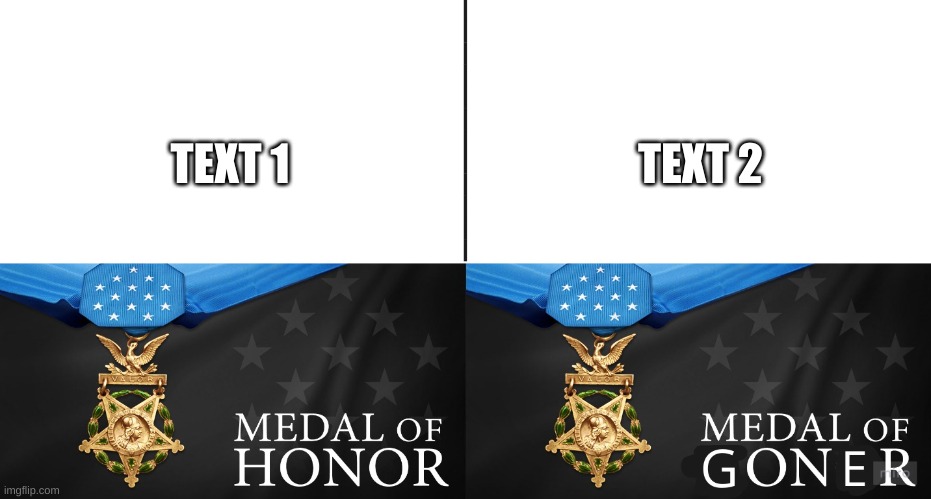 lol | TEXT 1; TEXT 2 | image tagged in medal of goner | made w/ Imgflip meme maker