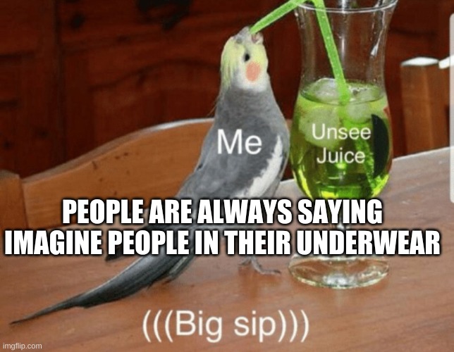 Unsee juice | PEOPLE ARE ALWAYS SAYING IMAGINE PEOPLE IN THEIR UNDERWEAR | image tagged in unsee juice | made w/ Imgflip meme maker