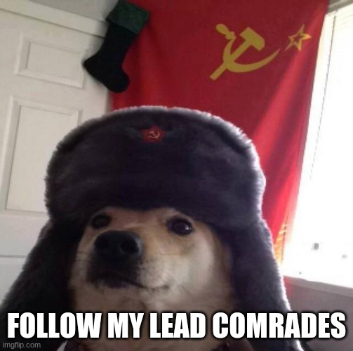 Russian Doge | FOLLOW MY LEAD COMRADES | image tagged in russian doge | made w/ Imgflip meme maker