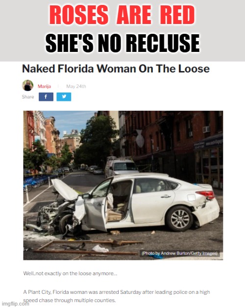 Florida Woman, Giving Florida Man A Run For His Money! | ROSES  ARE  RED; SHE'S NO RECLUSE | image tagged in memes,florida woman,roses are red | made w/ Imgflip meme maker