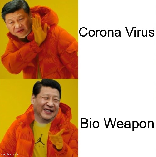 Xi Hotline Bling | Corona Virus; Bio Weapon | image tagged in drake hotline bling,memes,coronavirus,xi jinping,first world problems,no no hes got a point | made w/ Imgflip meme maker