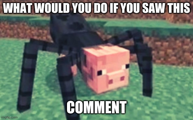 touch it | WHAT WOULD YOU DO IF YOU SAW THIS; COMMENT | image tagged in cursed image,what would you do,minecraft | made w/ Imgflip meme maker