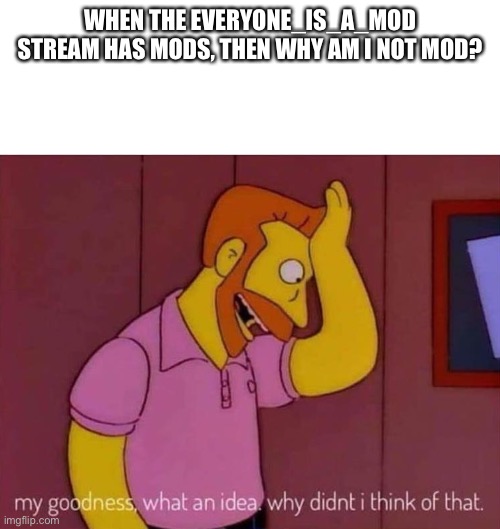 AAAAAAAAAAAAAAAAAAAAAAAAAAA | WHEN THE EVERYONE_IS_A_MOD STREAM HAS MODS, THEN WHY AM I NOT MOD? | image tagged in my goodness what an idea why didn't i think of that | made w/ Imgflip meme maker